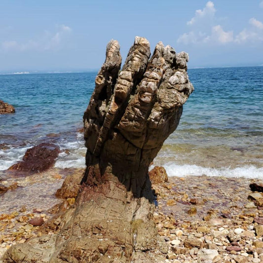 Devil's Fist