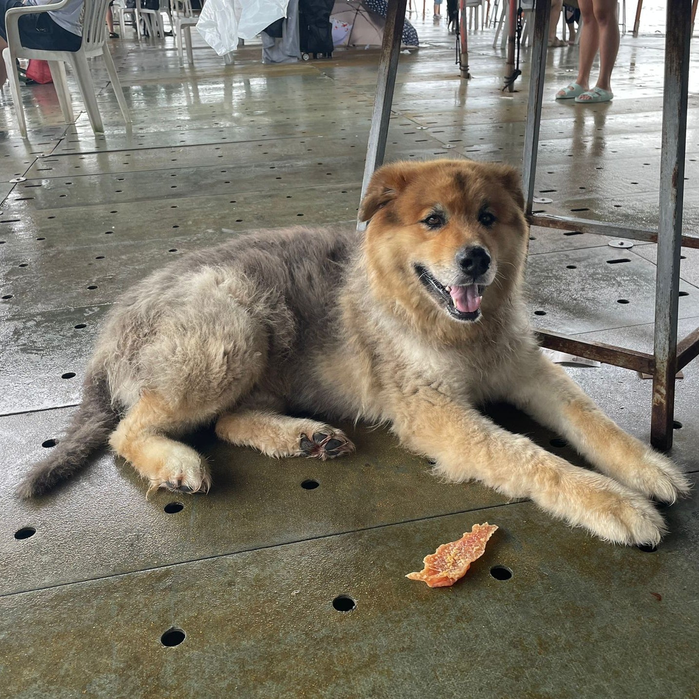 홍콩 어부들의 전통 음식 투어 + 특별 체험