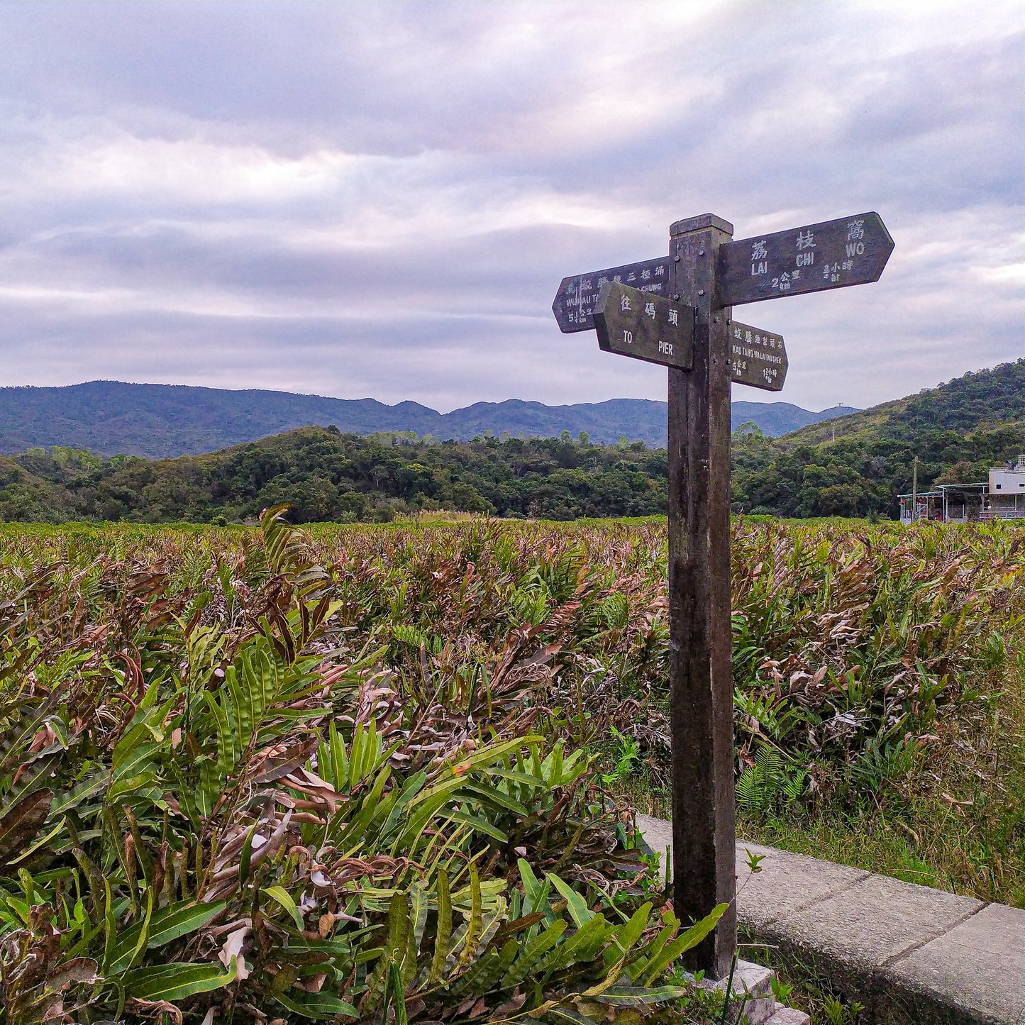 Sam A Village