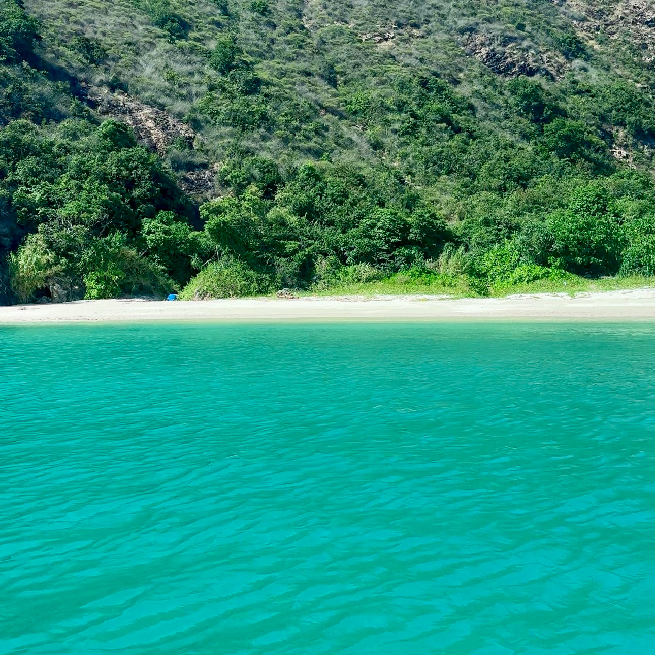 Kau Sai Wan Snorkeling Tour (+Exploring Hong Kong's Largest Fish Raft)