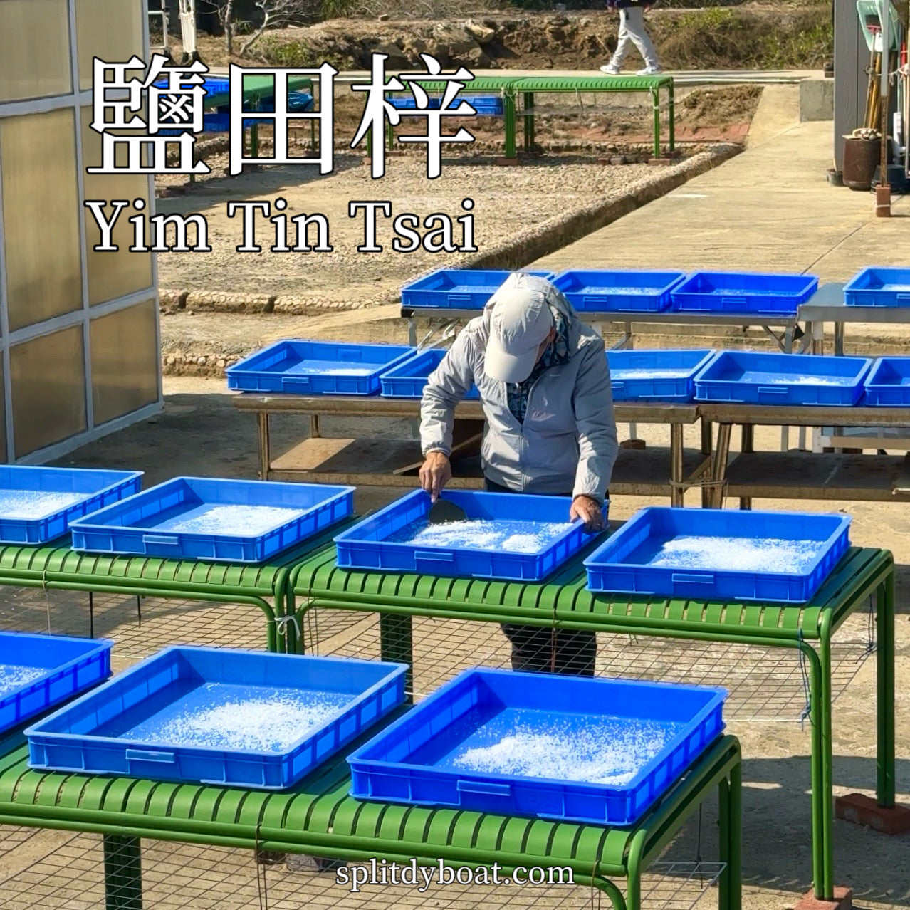 (6 hrs) Speedboat Hong Kong Geopark Ultimate Volcano Sightseeing + 3 Island Stop Food Taste + Beach Snorkelling Tour