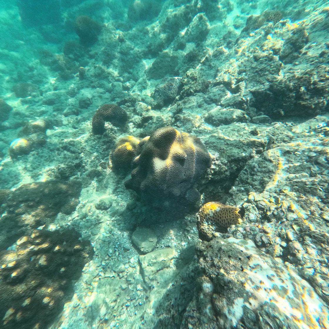 Kau Sai Wan Premium Beach Escape Experience