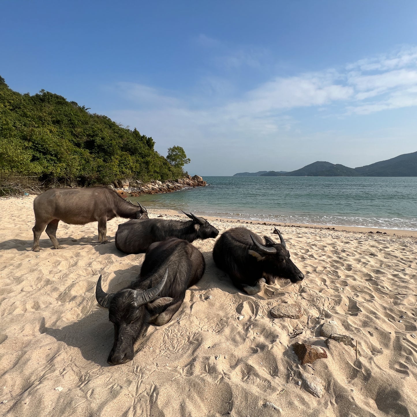 Ngau Kwu Wan (Lantau Island South)