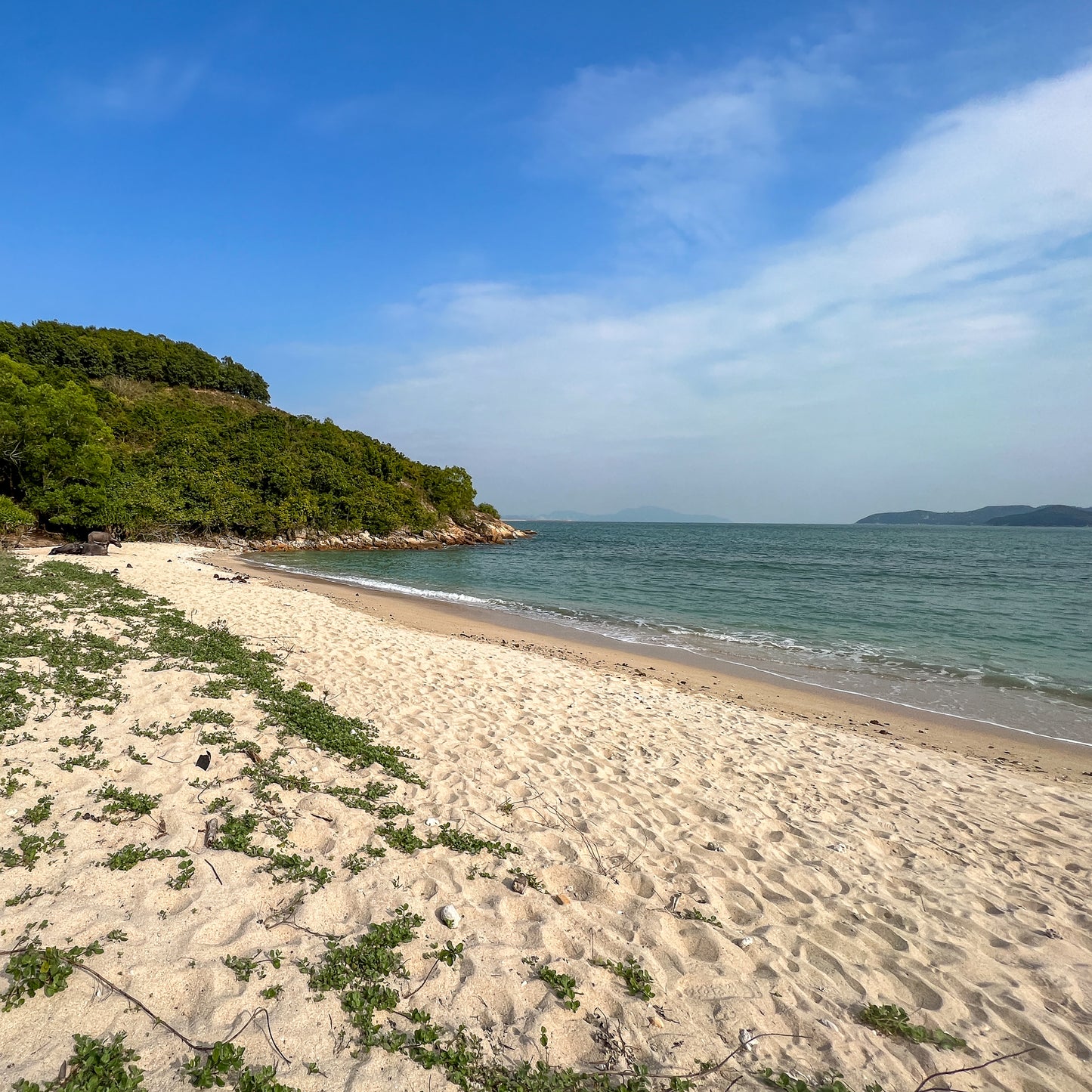 Ngau Kwu Wan (Lantau Island South)