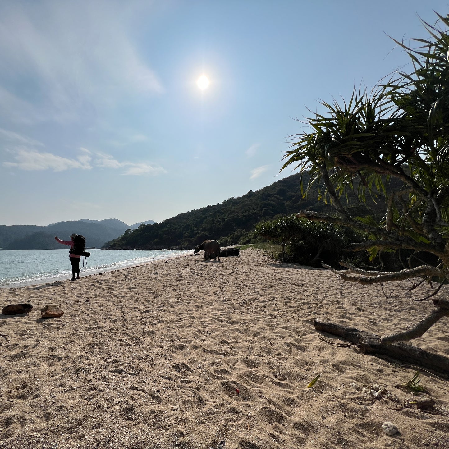 Ngau Kwu Wan (Lantau Island South)