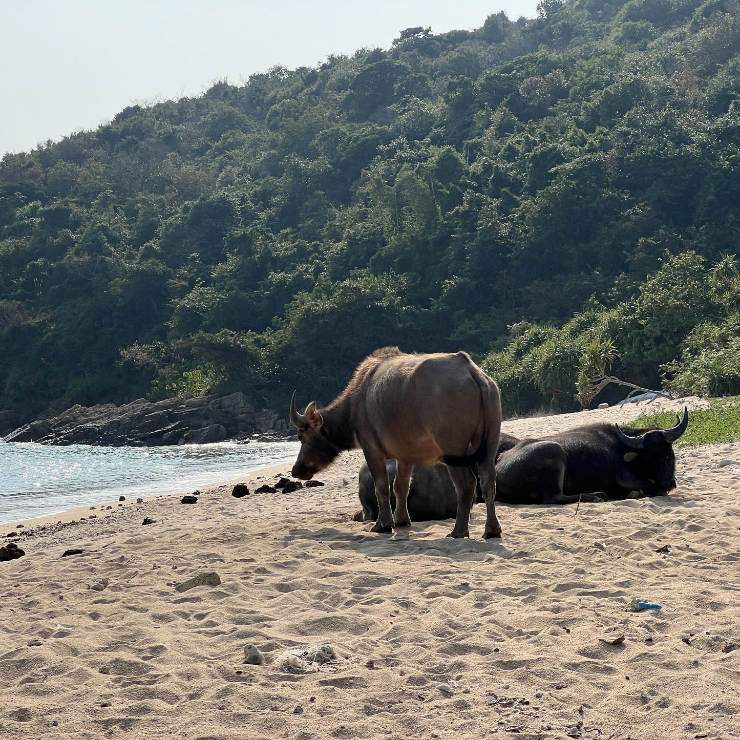 Ngau Kwu Wan (Lantau Island South)