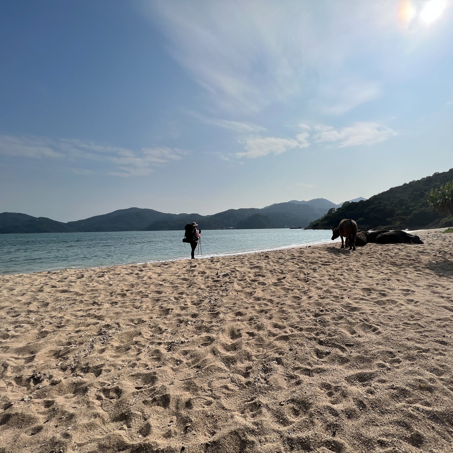 Ngau Kwu Wan (Lantau Island South)
