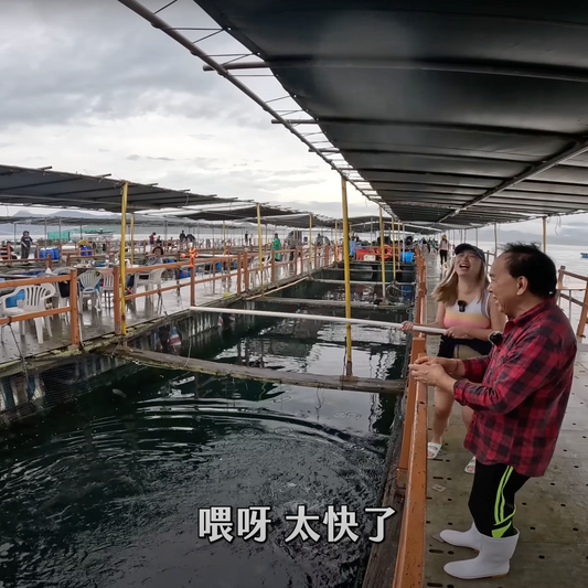 Kau Sai Wan Fishermen Cultural Experience Tour