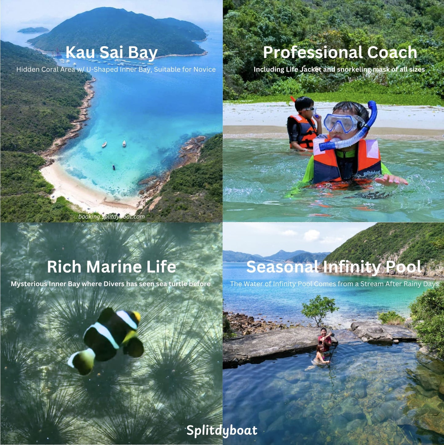 Kau Sai Wan Snorkeling Tour (+Exploring Hong Kong's Largest Fish Raft)