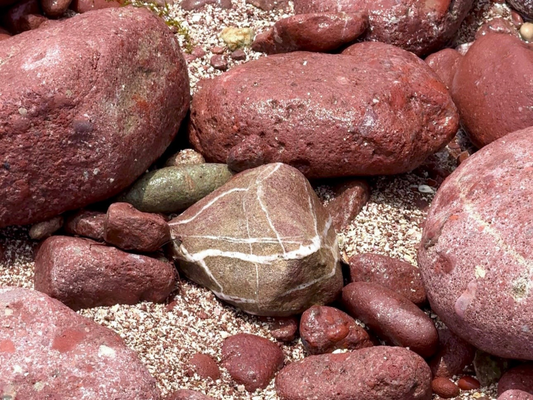 Port Island: Where Jurassic Rocks Meet Cretaceous Dinosaurs