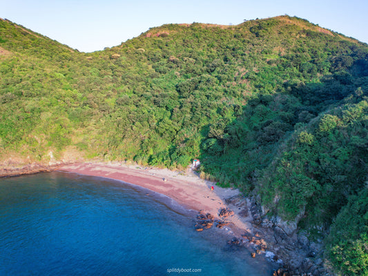Discovering Tai Wan in Port Island: A Coral Haven in Hong Kong