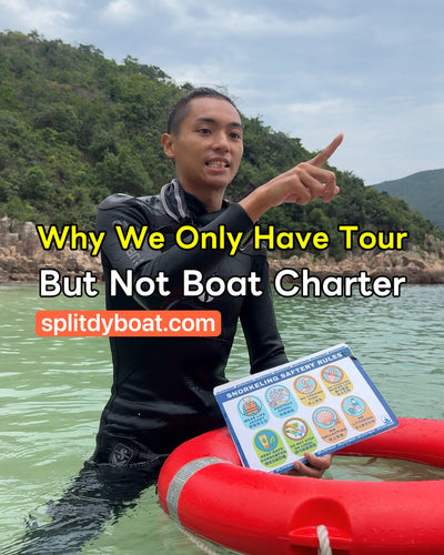We Chose Purpose Over Profit: The Story Behind Splitdyboat