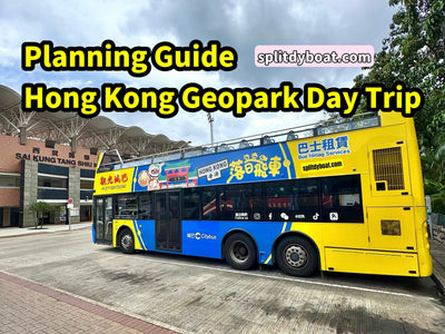 Planning Your Geopark Day Trip: Booking & Getting There Guide
