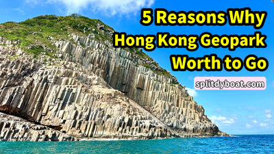 Is a Hong Kong Geopark Ticket Worth It? 5 Compelling Reasons
