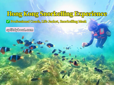 Ocean Park Water World vs. Sai Kung: A Tale of Two Water Parks
