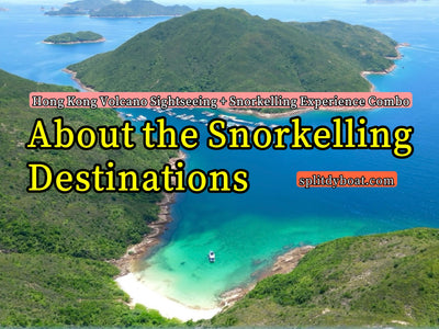 Volcano Sightseeing + Snorkelling Combo: Snorkelling Destination - Hong Kong
