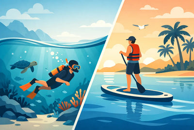 Is a Snorkeling or Paddleboard Excursion Better?