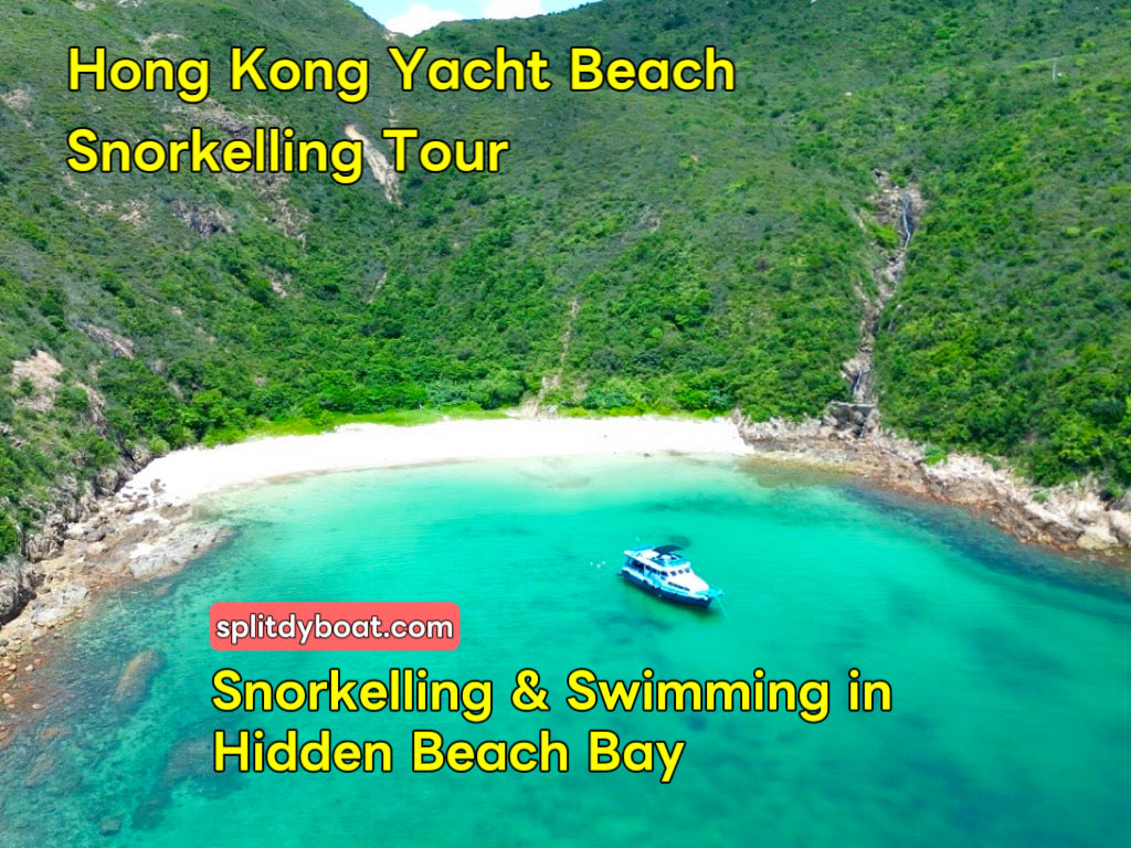 Best Tours and Experiences in Sai Kung, Hong Kong