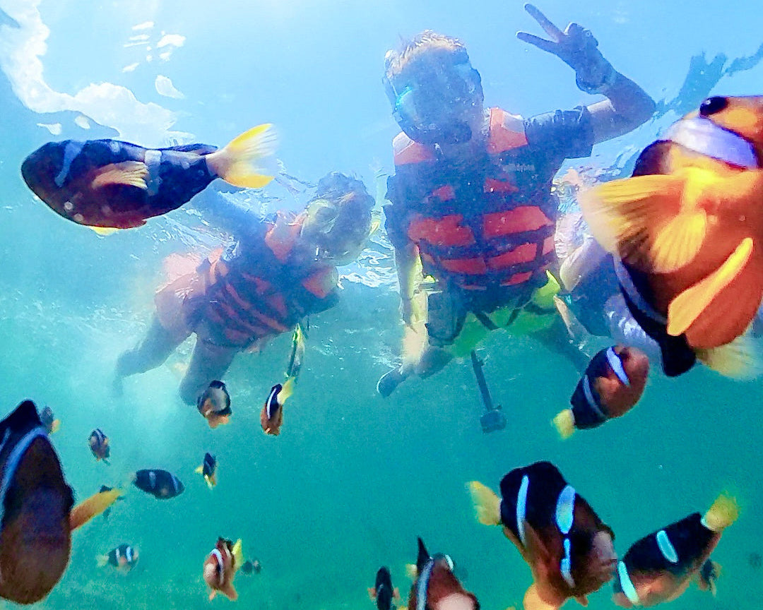 Combo with NEMO Clownfish Snorkelling Tour