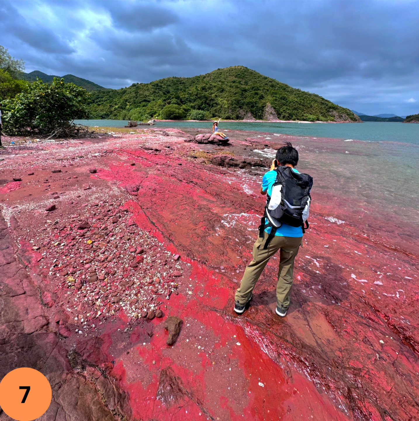 Hong Kong Geopark Island Hopping Tour or Shore Excursion Tour (No need to get in the water)