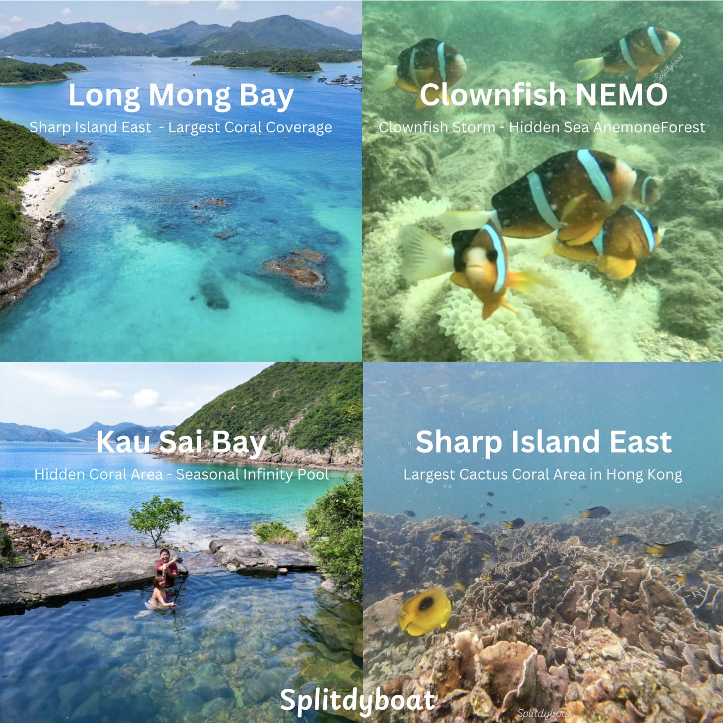 Snorkeling Tour in Hong Kong