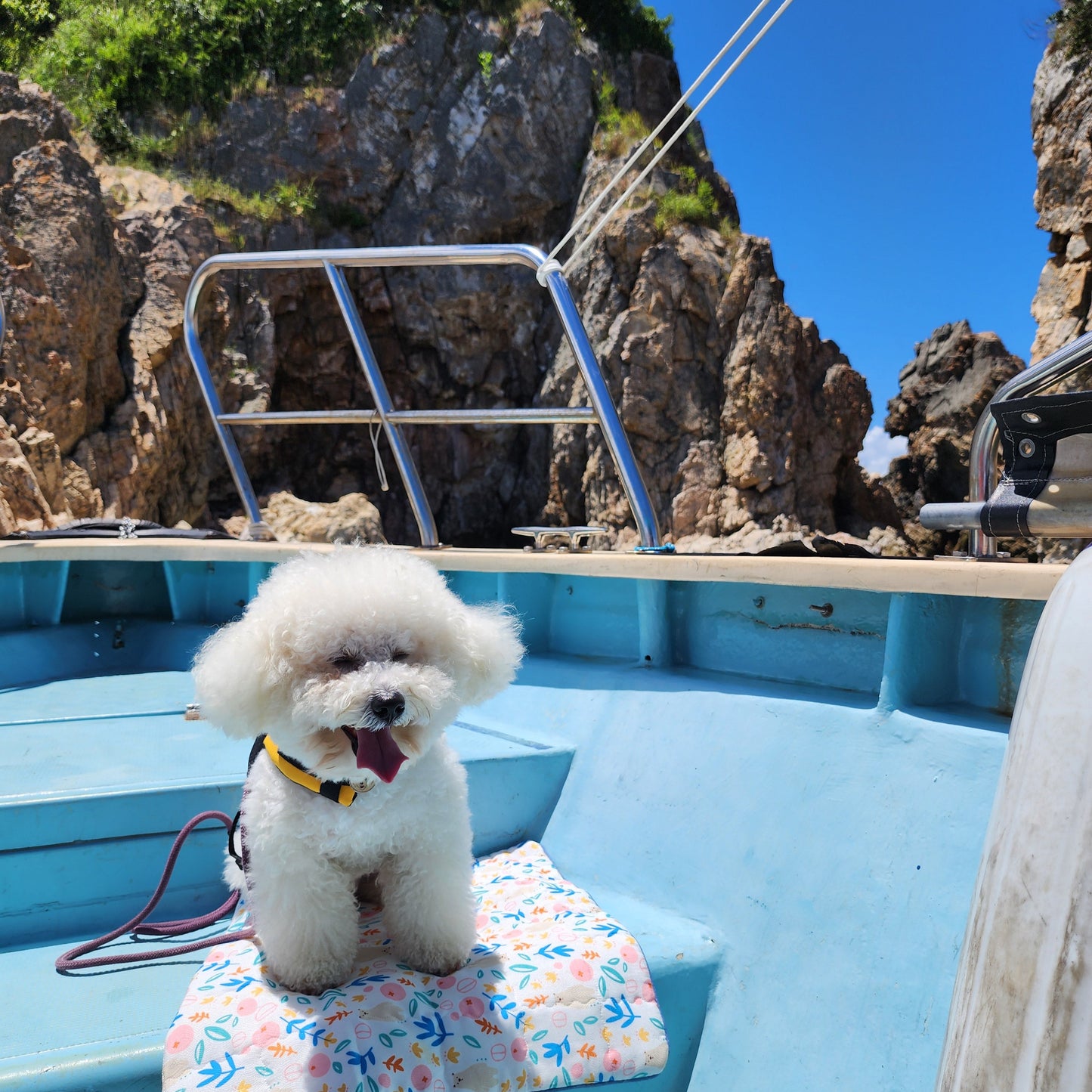 Ocean Park Southern Coast Speedboat Tour