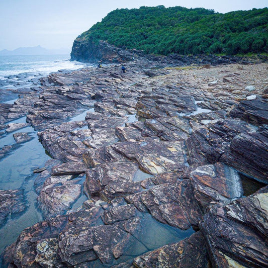 Tung Ping Chau