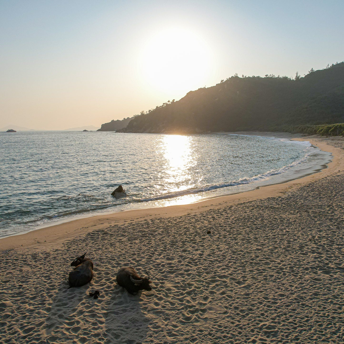 Tai Long Wan (Chi Ma Wan Peninsula)