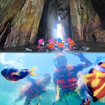 (Split-Session) Hong Kong Geopark Coasteering Tour and NEMO Clownfish Snorkelling