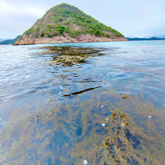 Wong Nai Chau