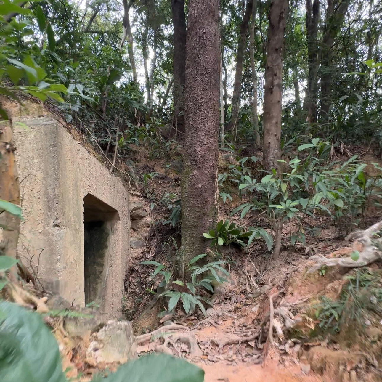 Sha Tau Kok Frontier Closed Area Military History Tour