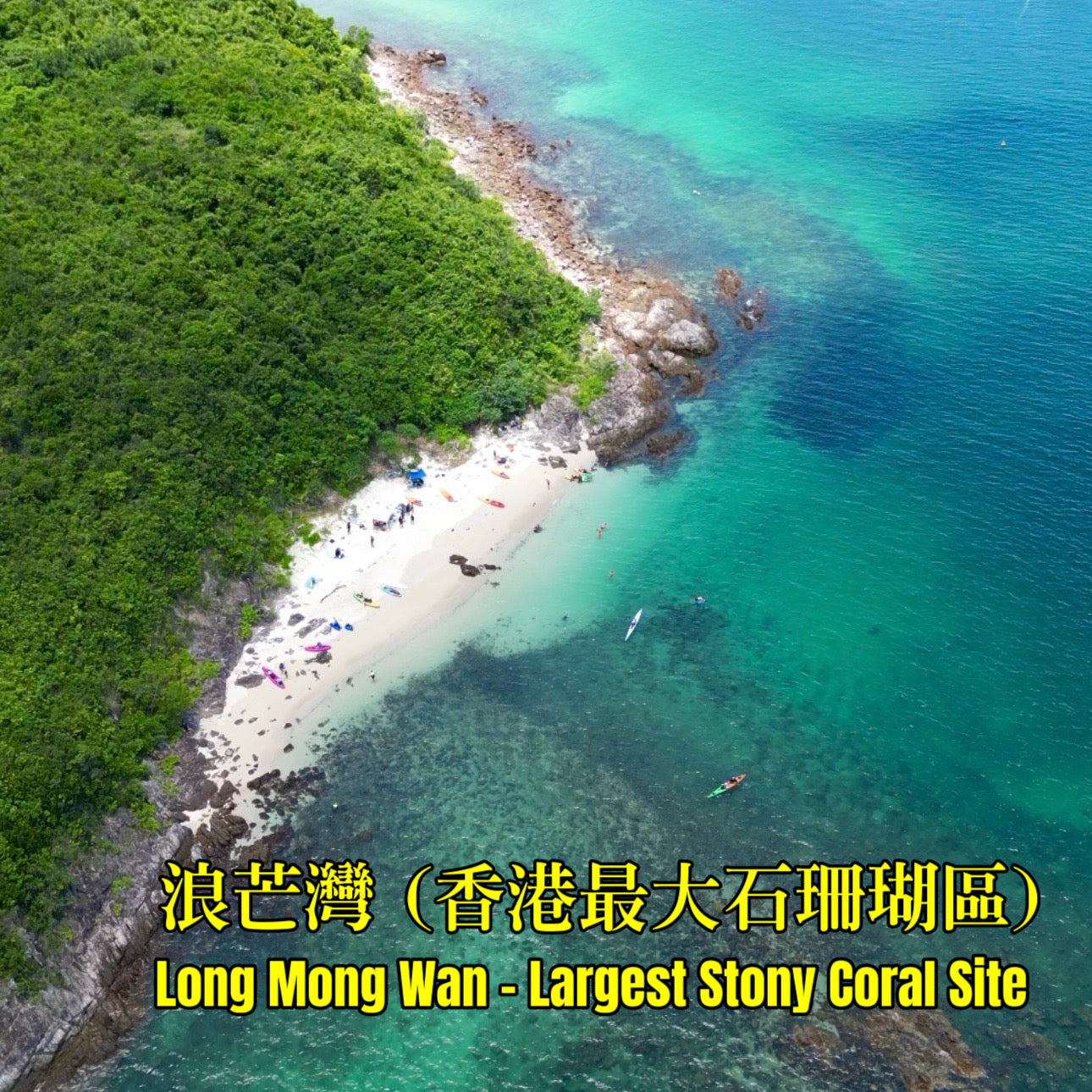 (3,5 ore) Coasteering alle Doppie Archi Marine e Snorkeling nell'Area Nascosta di Corallo