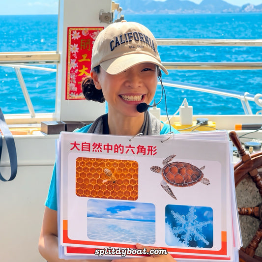 Mały geolog: Klasa morska w regionie skał wulkanicznych Sai Kung (Hongkong, Globalny Geopark UNESCO)