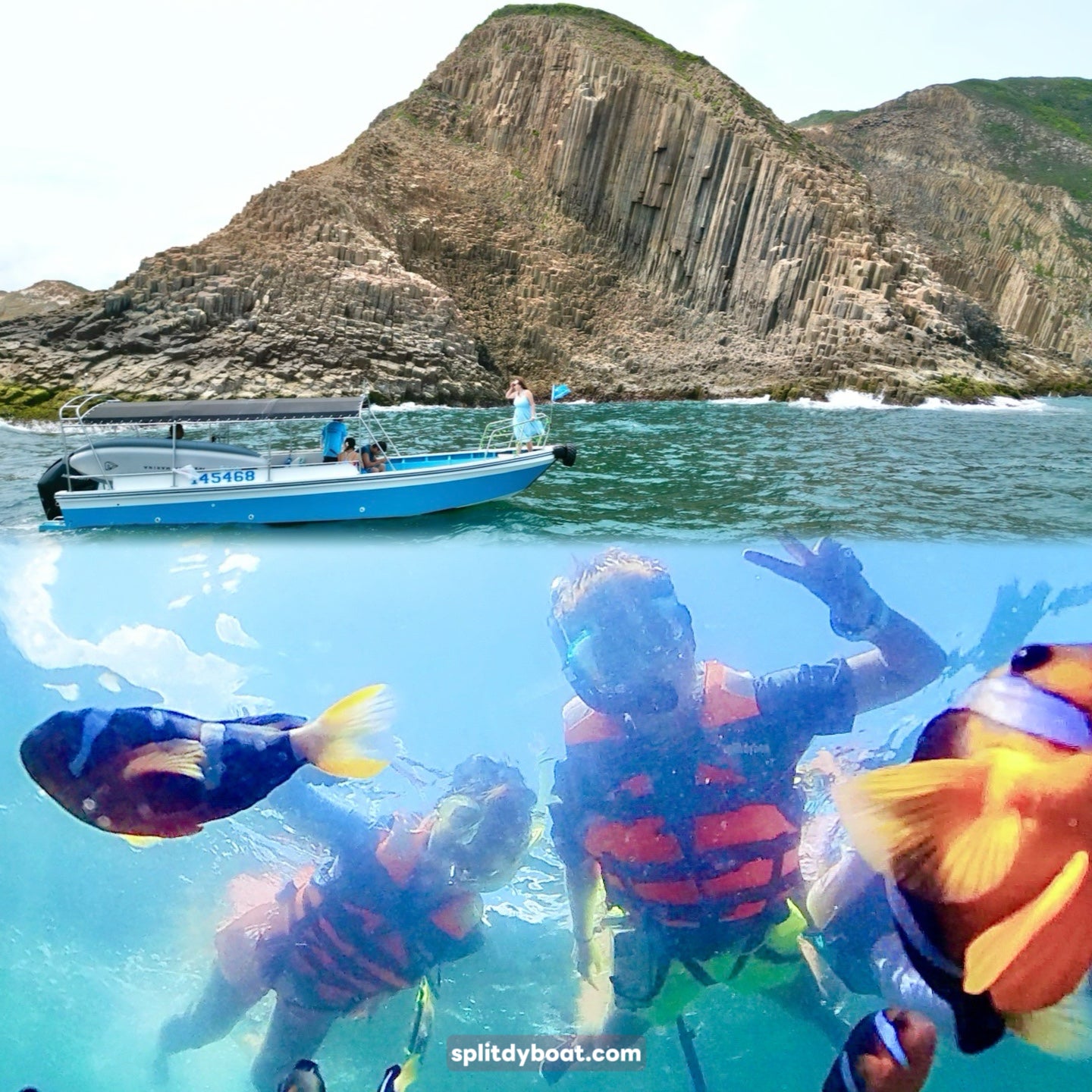 (Chuyến đi chia phiên) Tour du thuyền Công viên Địa chất Hồng Kông và Lặn ngắm cá hề NEMO