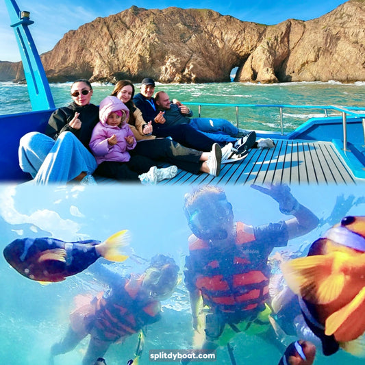(Split-Session) Hong Kong Geopark Yacht Tour and NEMO Clownfish Snorkelling