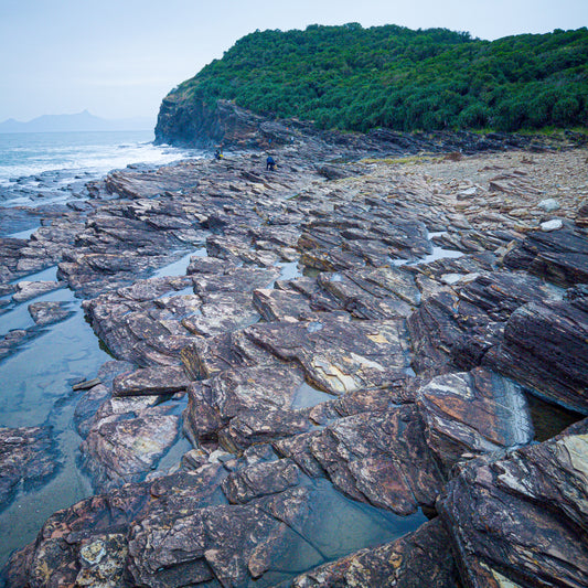 Tung Ping Chau